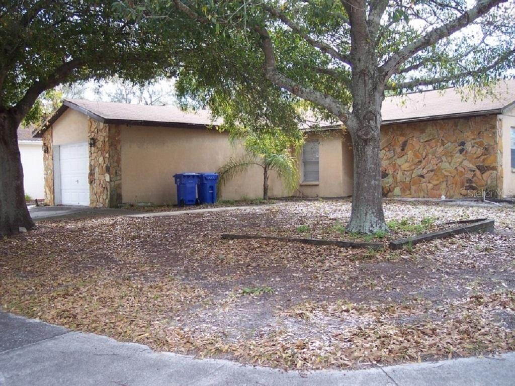 11321 Blackbark Dr., Riverview, FL 33579