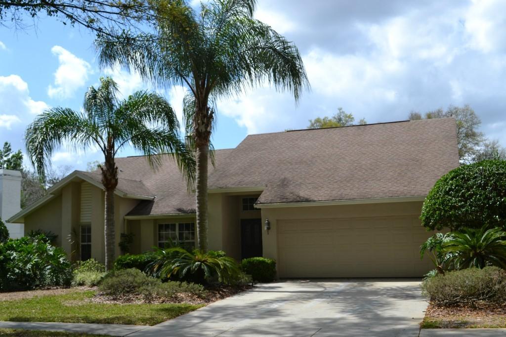 3905 Turkey Oak Dr., Valrico, FL 33596
