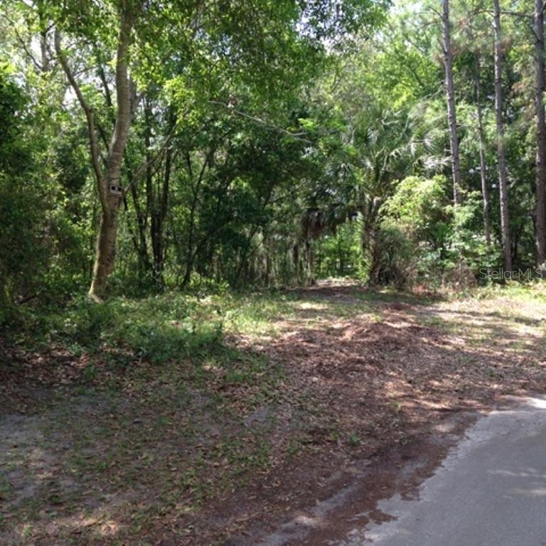 11312 Echo View Dr., Odessa, FL 33556