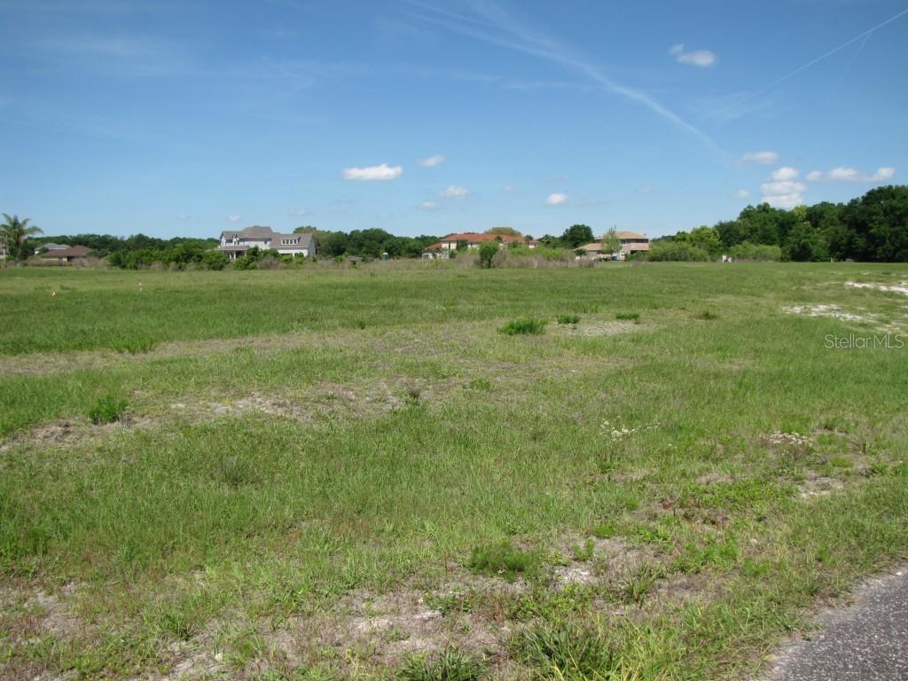 2615 Tylers River Run, Lutz, FL 33559