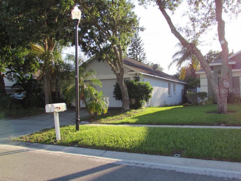 8602 Manassas Rd., Tampa, FL 33635