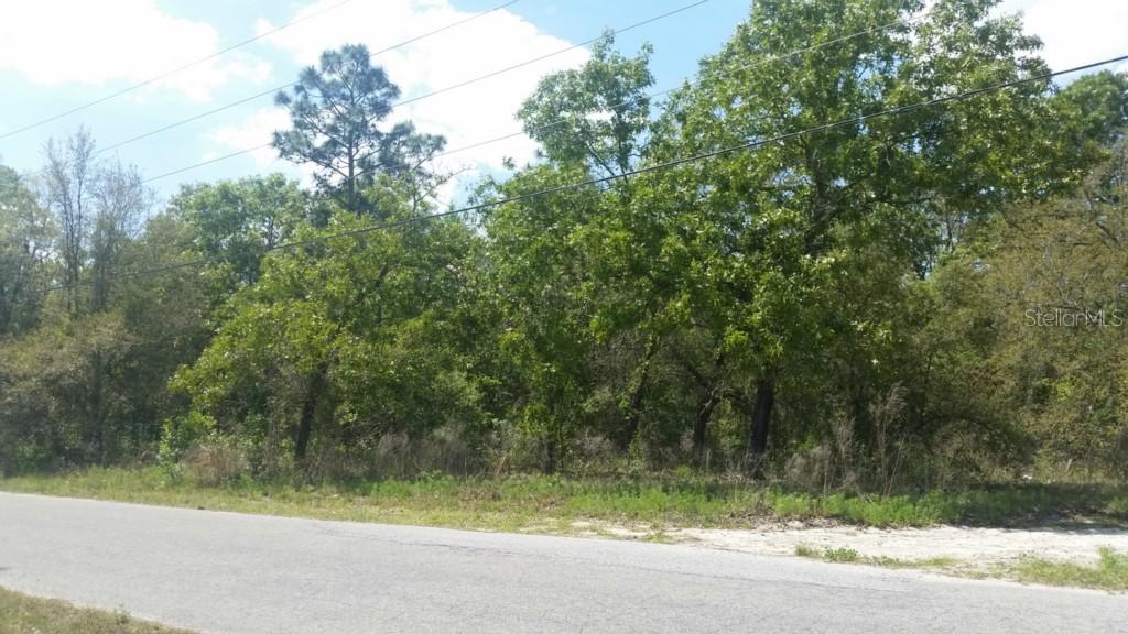 Nelson Rd., Shady Hills, FL 34610