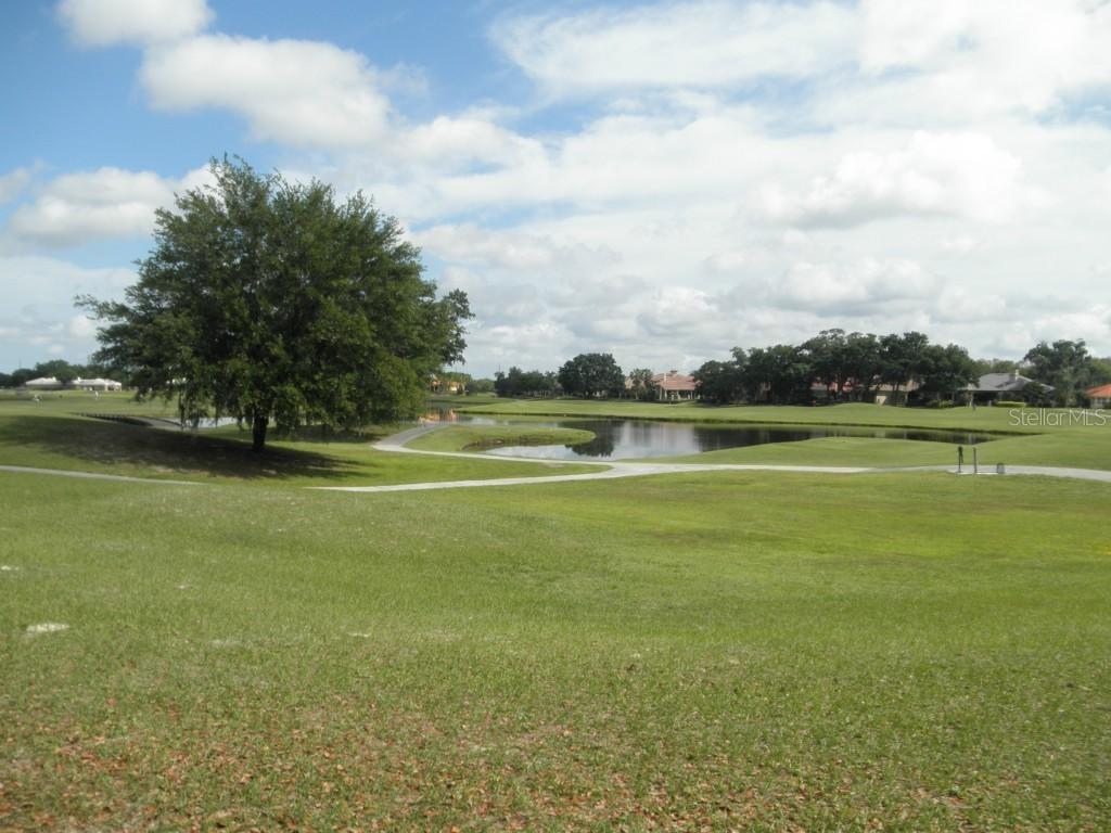 10053 Milano Dr., Trinity, FL 34655