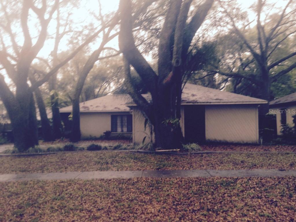 2413 Silver Forrest Ln., Lutz, FL 33549