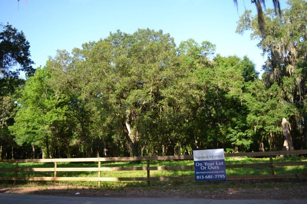 320 N Smokey Mountain Rd., Seffner, FL 33584