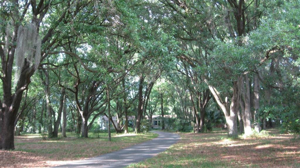 3840 Link Rd., Lithia, FL 33547