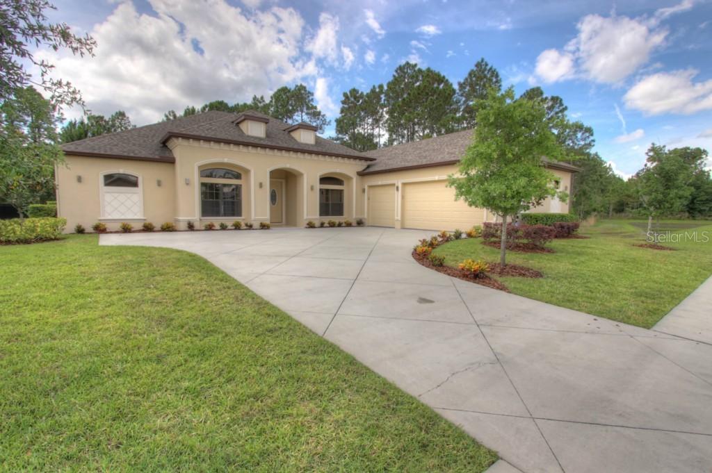 15630 Hawks Crest Loop, Odessa, FL 33556