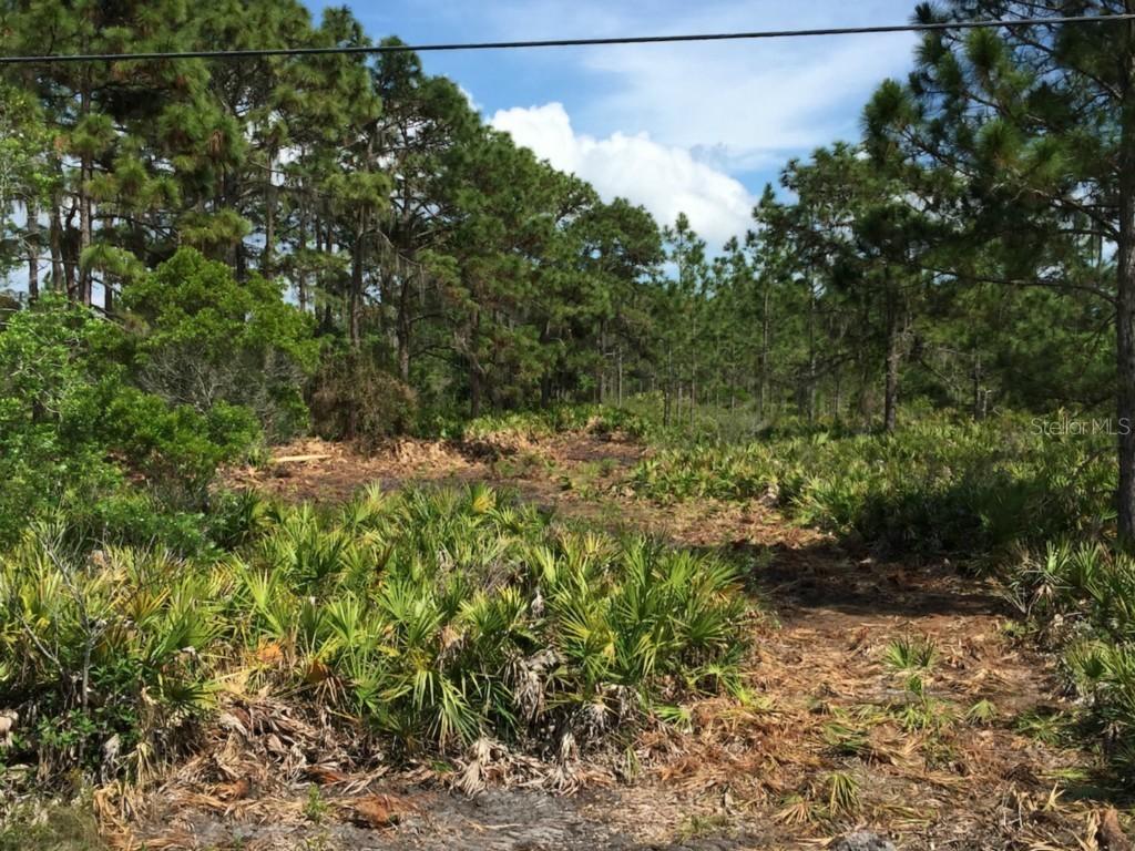 Tiger Lake Rd., Lake Wales, FL 33898