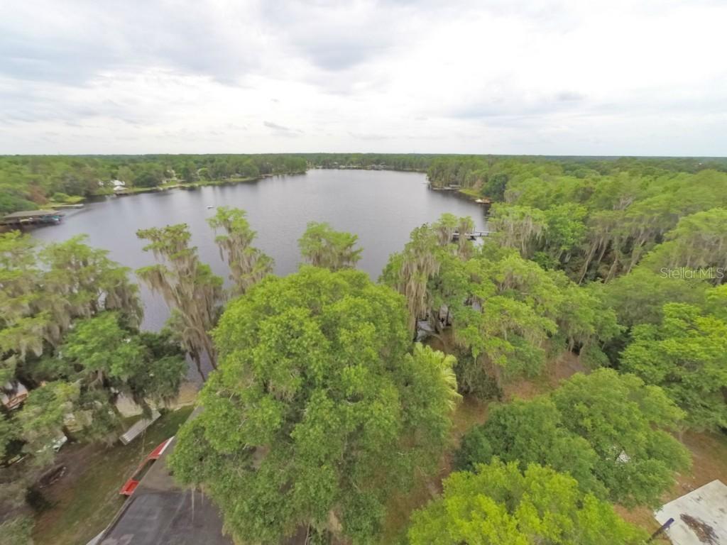 1585 Lake Como Dr., Lutz, FL 33558