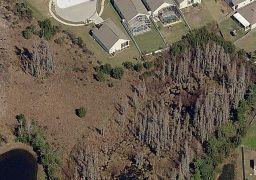 31138 Harthorn Ct., Wesley Chapel, FL 33543