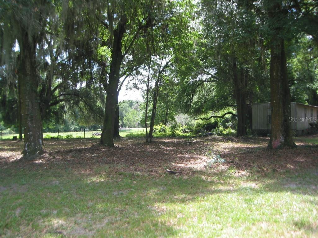 2930 E Knights Griffin Rd., Plant City, FL 33565