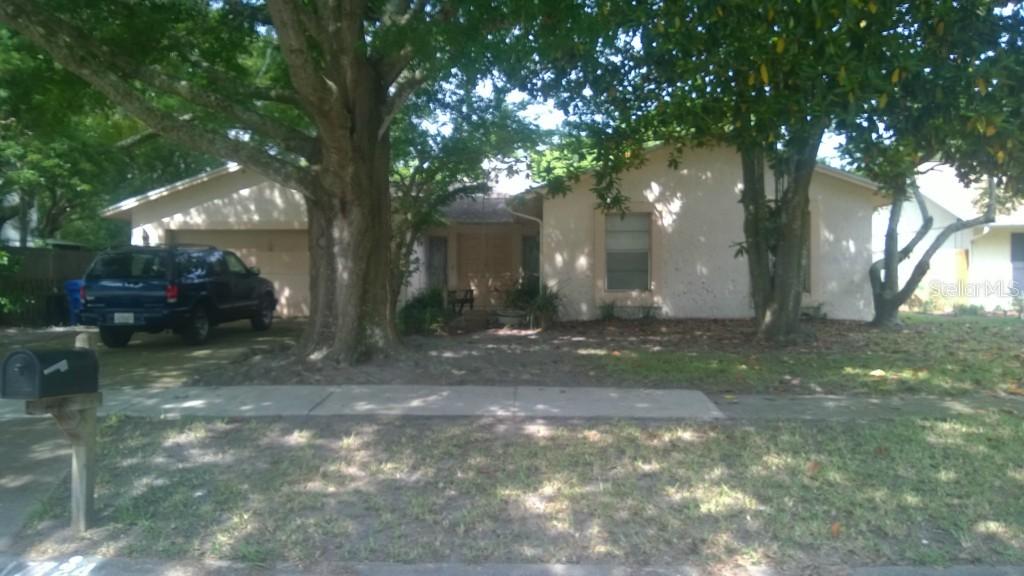 17724 Morninghigh Dr., Lutz, FL 33549