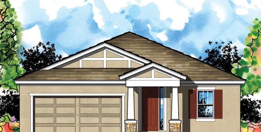 1872 Tallulah Ter., Wesley Chapel, FL 33543