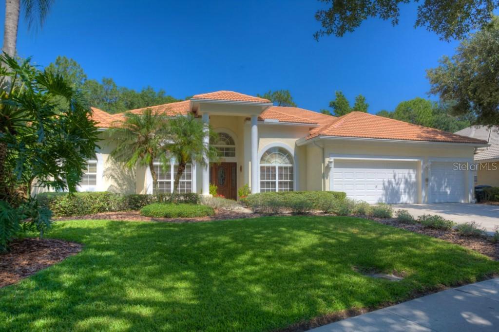 15823 Dawson Ridge Dr., Tampa, FL 33647