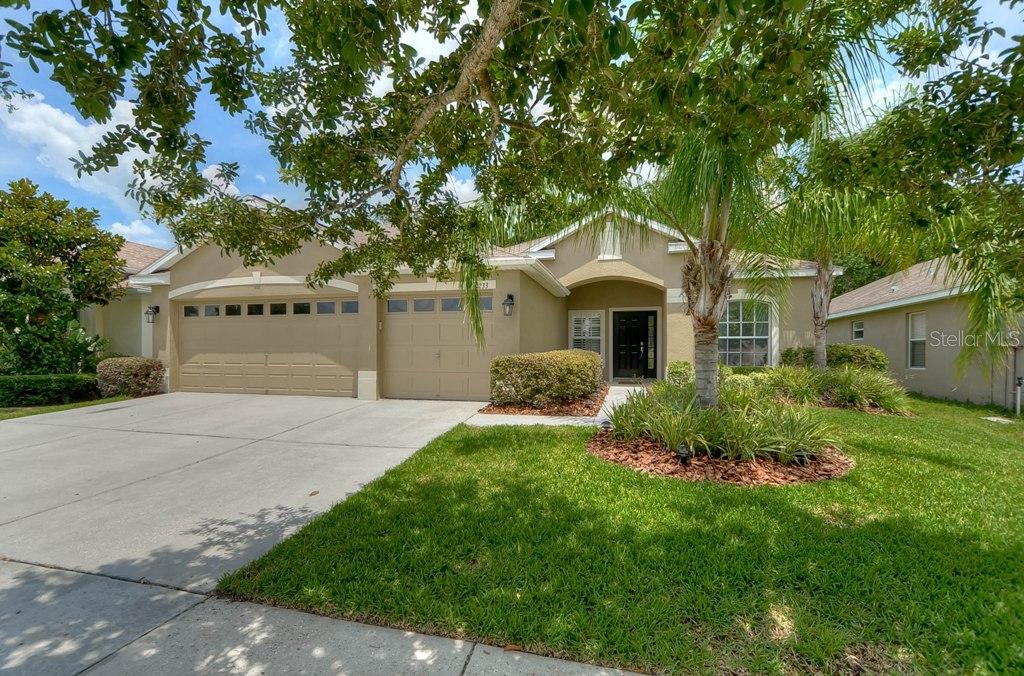 1233 Emerald Hill Way, Valrico, FL 33594