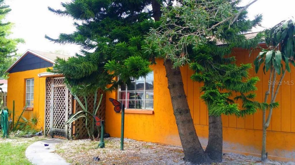 3023 W Helen Ave., Tampa, FL 33611