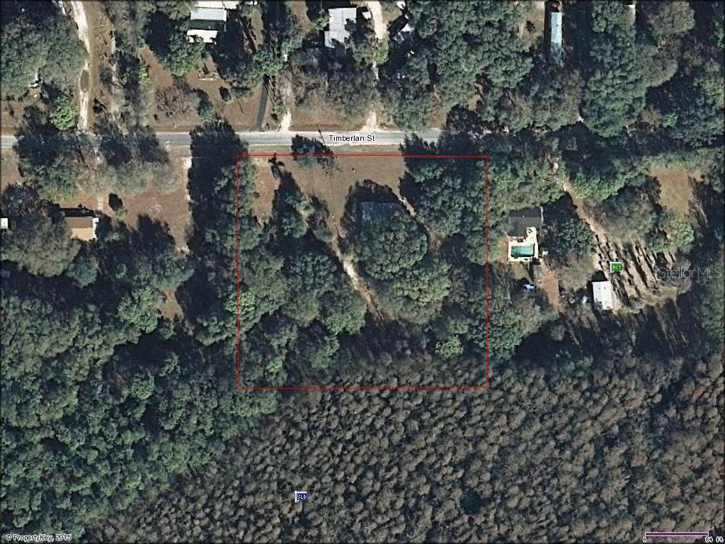 4936 Timberlan St., Tampa, FL 33624