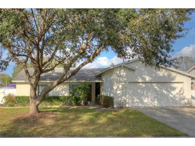 1202 Carrie Wood Dr., Valrico, FL 33596