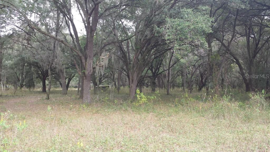 Old Morris Bridge Rd., Tampa, FL 33637