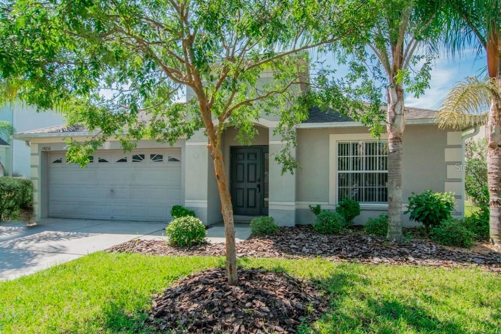 19050 Chislehurst Dr., Land O Lakes, FL 34638