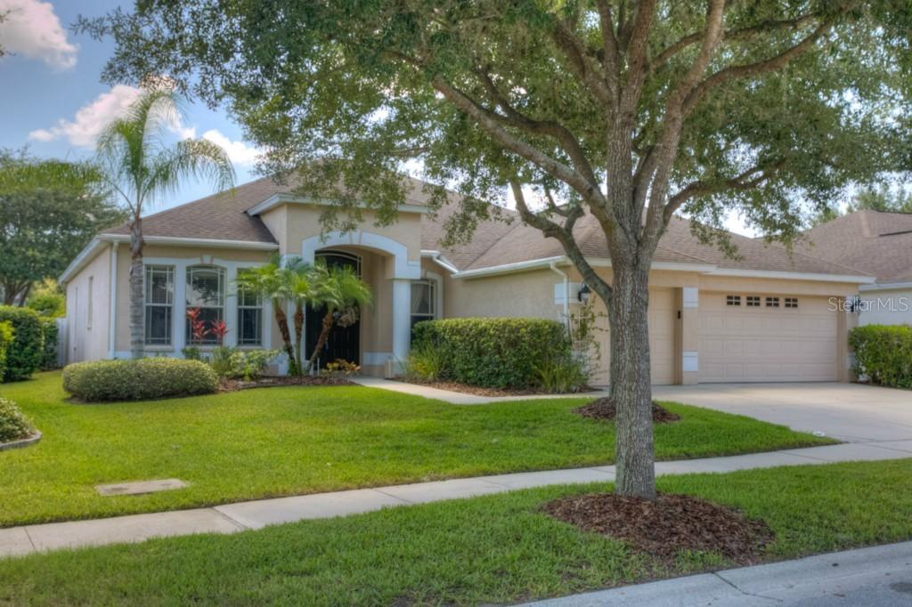 18117 Pheasant Walk Dr., Tampa, FL 33647
