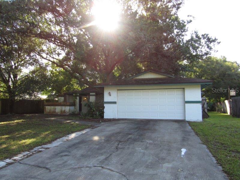 17725 Morninghigh Dr., Lutz, FL 33549