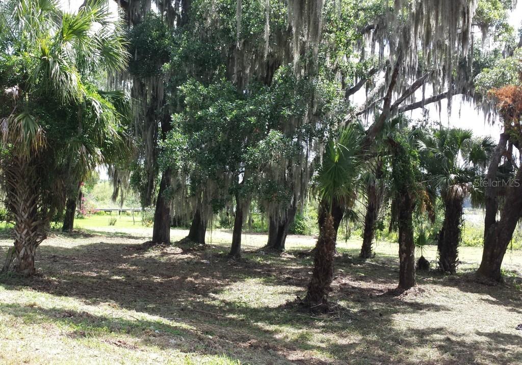 505 Covington Park St., Seffner, FL 33584