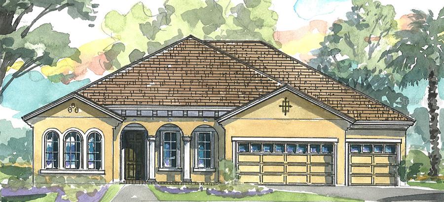 32769 Natural Bridge Rd., Wesley Chapel, FL 33543