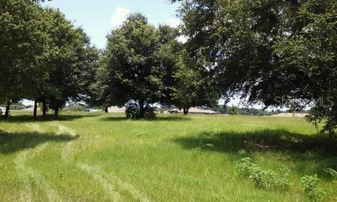 6726 Josie Dr., Seffner, FL 33584