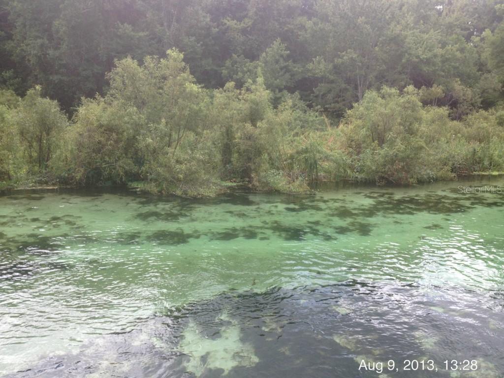 7172 Cyclops Dr., Weeki Wachee, FL 34607