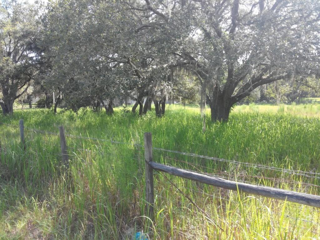 Loma Ave., Spring Hill, FL 34610