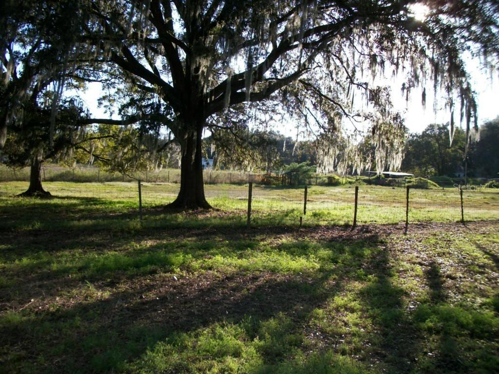 No Address, Valrico, FL 33594