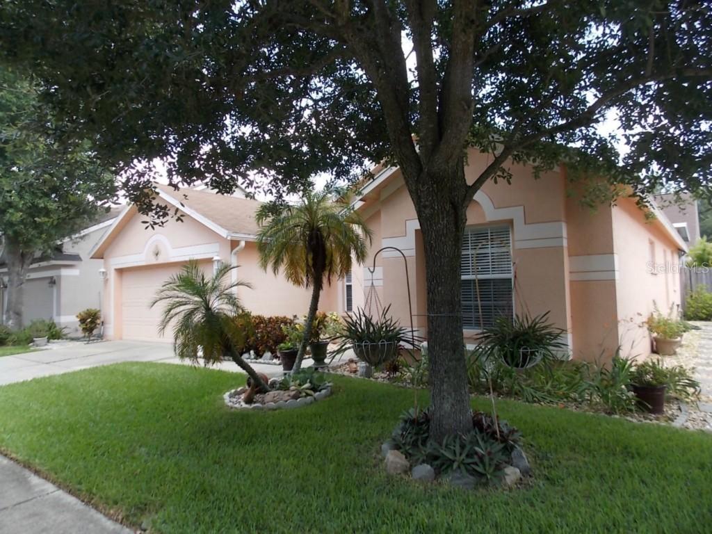 8824 Cypress Hammock Dr., Tampa, FL 33614