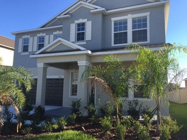11053 Little Blue Heron Dr., Riverview, FL 33579