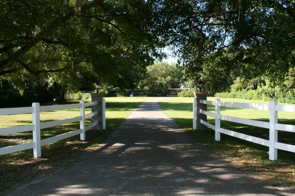 305 Duque Rd., Lutz, FL 33549