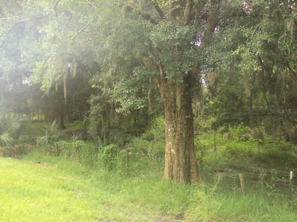 Medulla Rd., Lakeland, FL 33811