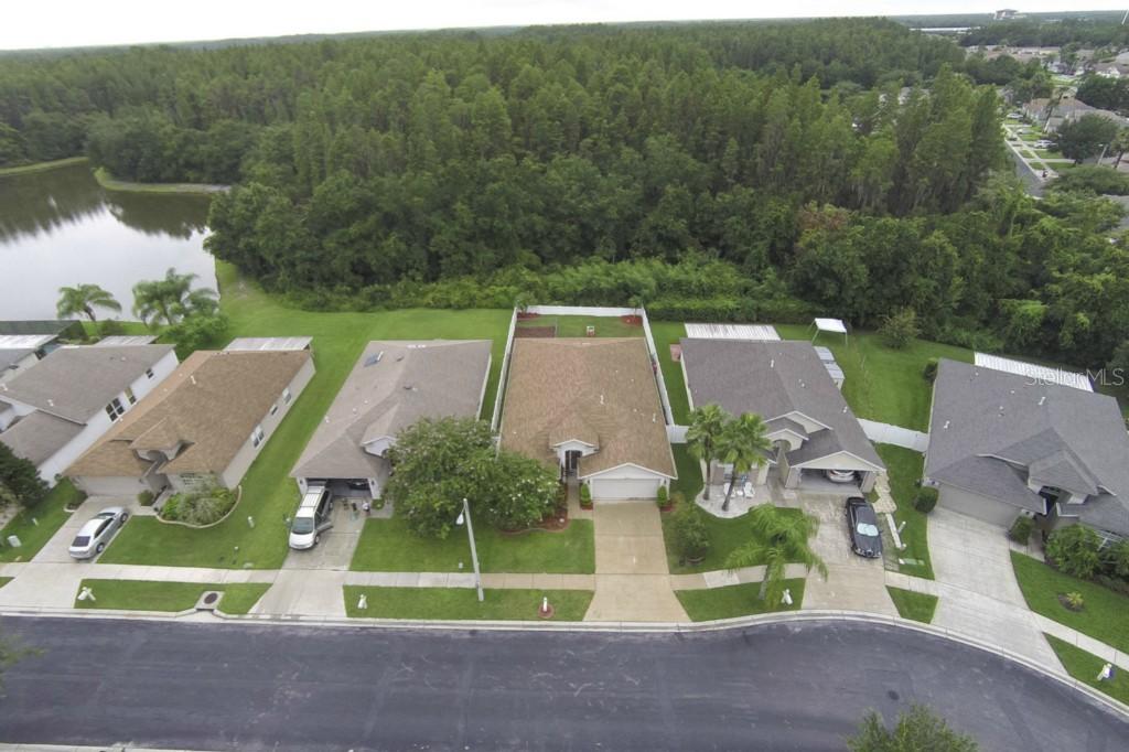 30927 Burleigh Dr., Wesley Chapel, FL 33543