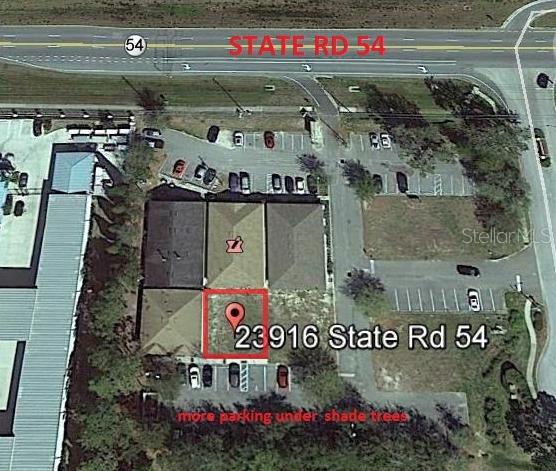 23916 State Road 54, Lutz, FL 33559