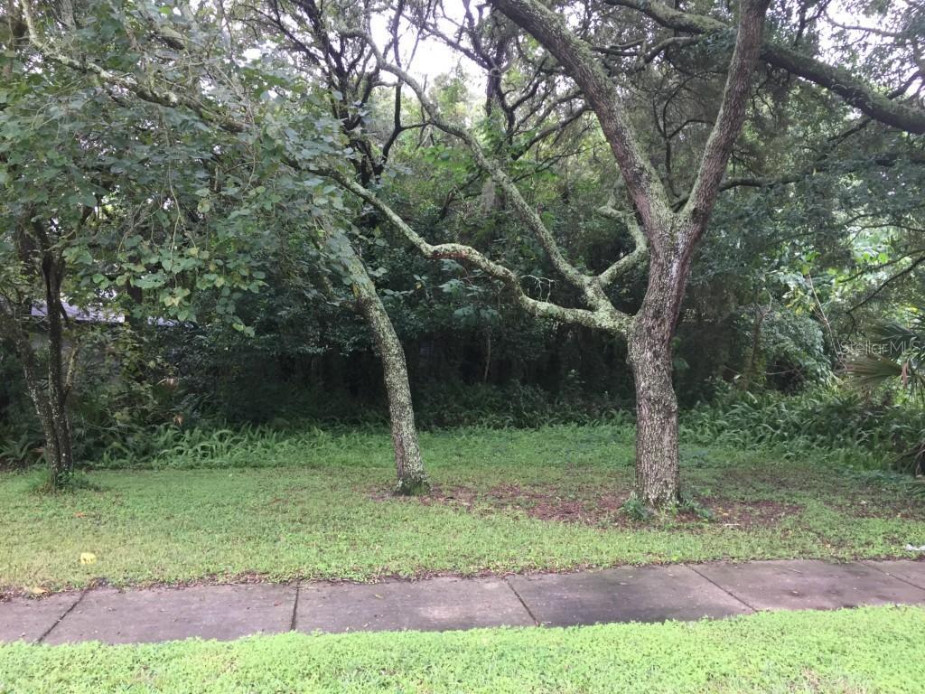 S Village Ave., Tampa, FL 33612