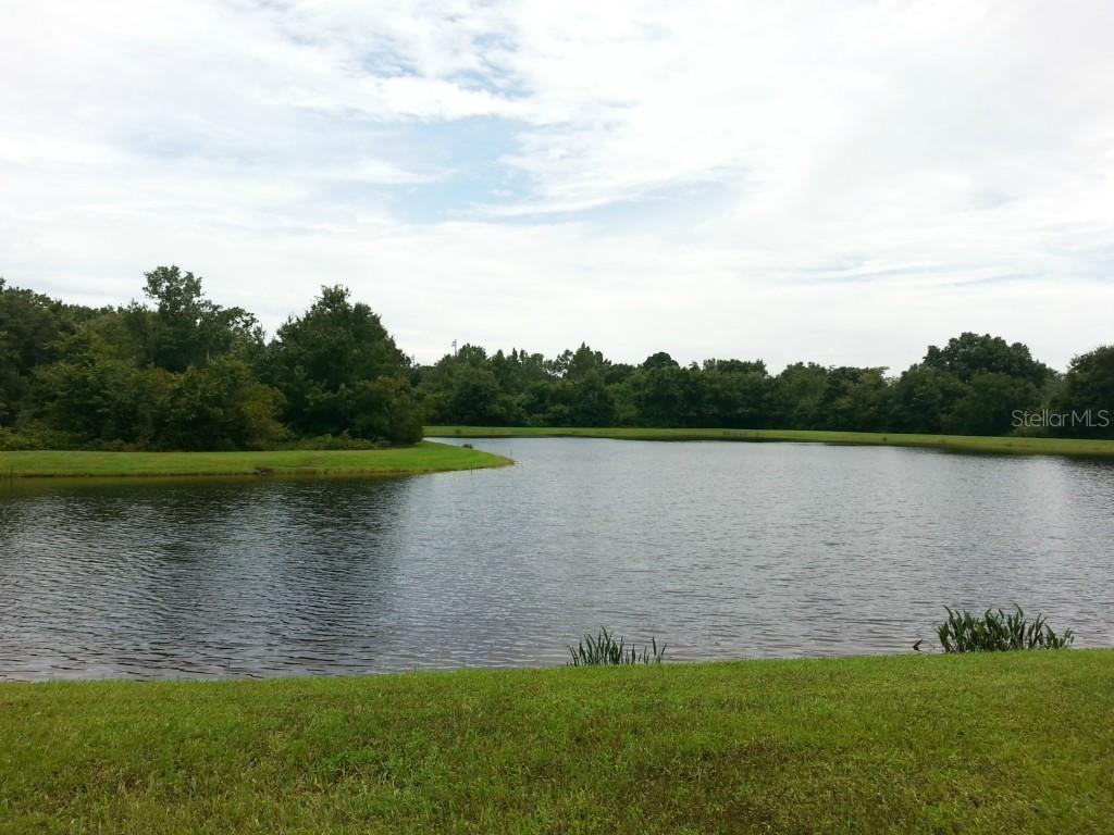 2816 Conch Hollow Dr., Brandon, FL 33511