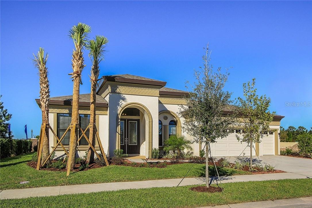 8528 Swiss Chard Cir., Land O Lakes, FL 34637