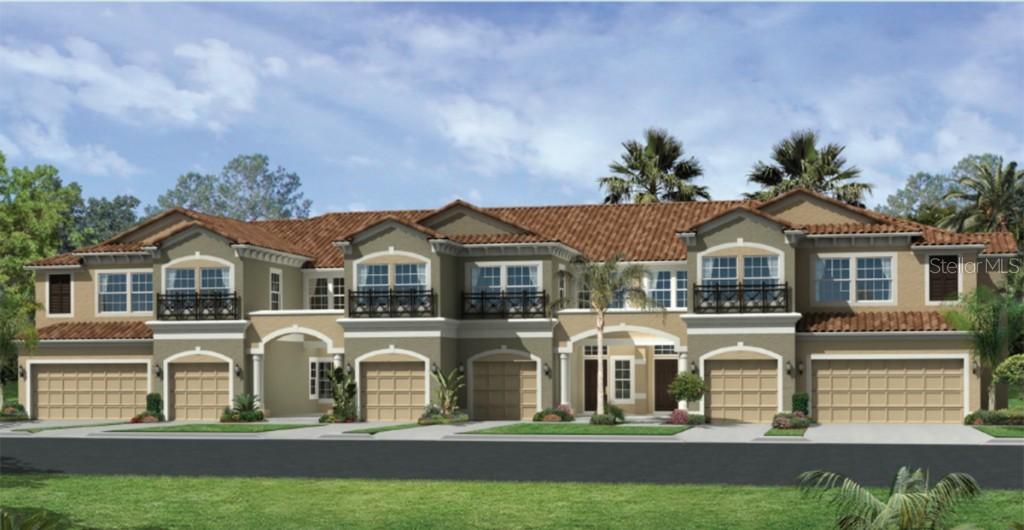 2006 Milkweed Trace, Lutz, FL 33558