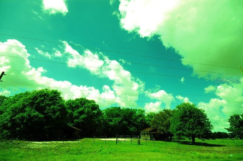 18923 S 39th Hwy., Lithia, FL 33547