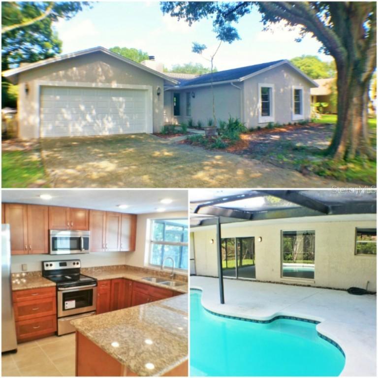 17724 Morninghigh Dr., Lutz, FL 33549