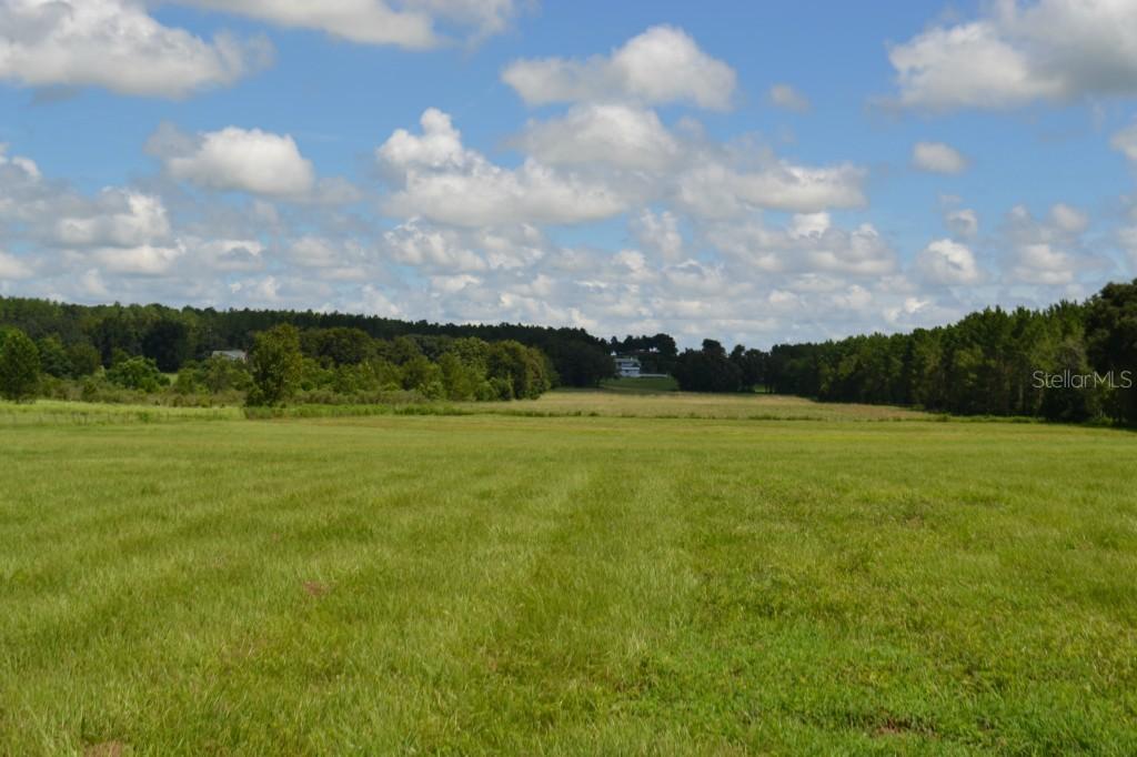 16420 Spring Valley Rd., Dade City, FL 33523