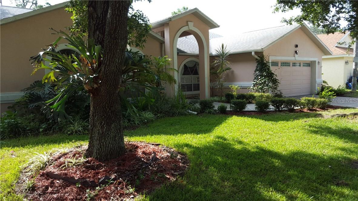 1343 Monte Lake Dr., Valrico, FL 33596