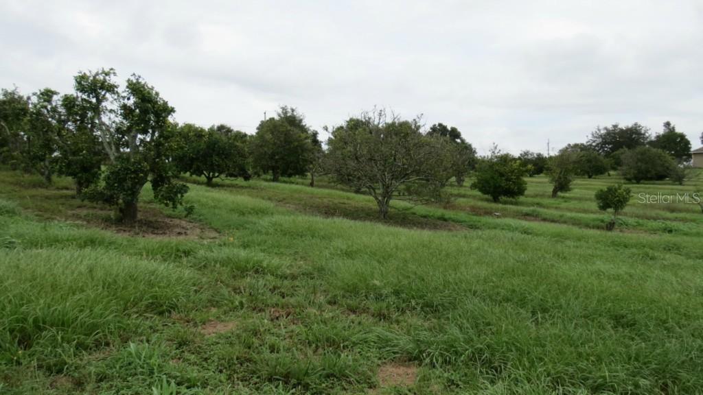 Old Spring Lake Rd., Brooksville, FL 34601