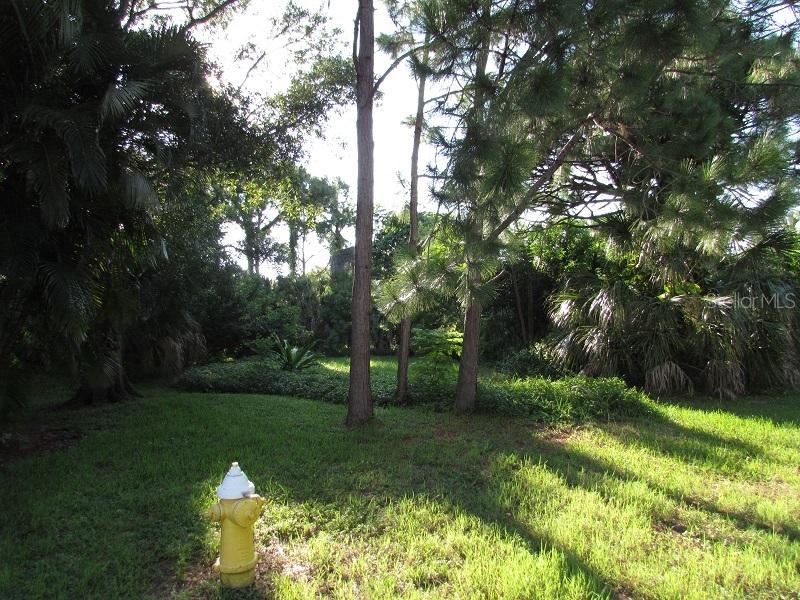 Carlyle Dr., Palm Harbor, FL 34683