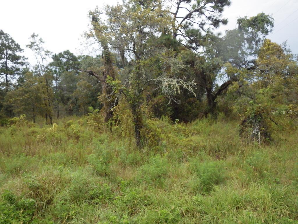 Denton Ave, Hudson, FL 34667