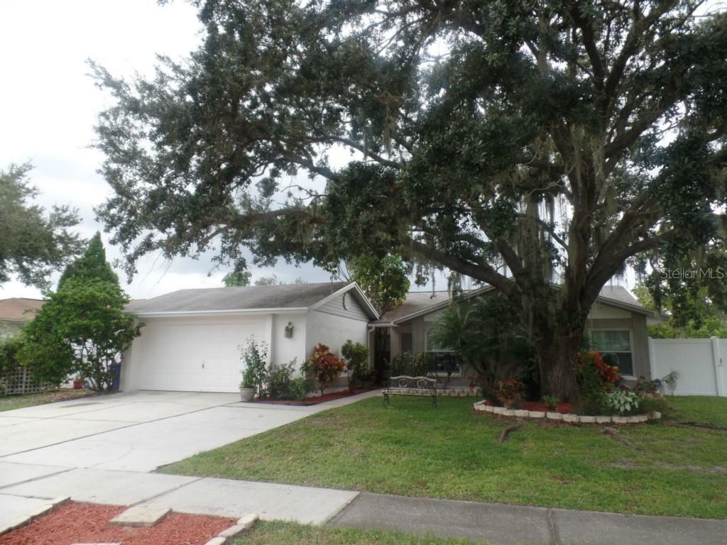 1214 Letona Ln., Valrico, FL 33596